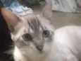 Léo
