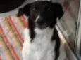 Nina