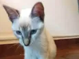 Freya