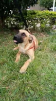 Boris