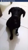 RICCO