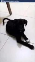 RICCO
