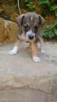 Ainda não tem 