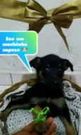 Lindos