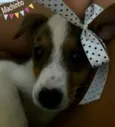 Lindos