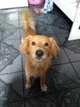 Kurt