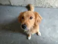 Kurt