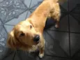 Kurt