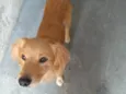 Kurt