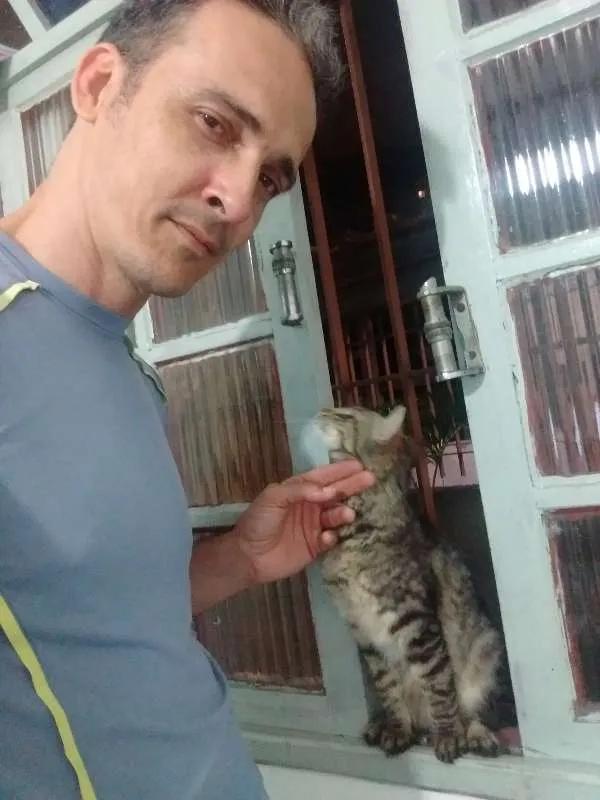 Gato raça SRD idade  nome Sem nome