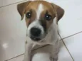 não tem nome