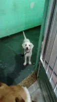 Léo