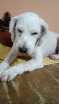 Léo