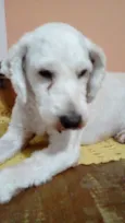 Léo