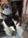 Nome desconhecido