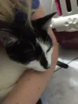 Nome desconhecido