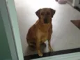 Frida