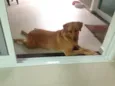 Frida