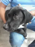 não tem