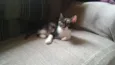 Zoe
