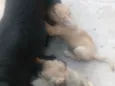 Lili,