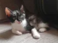 Zoe
