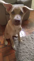 Nina