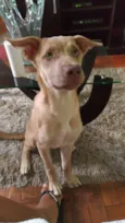 Nina