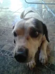 Keka