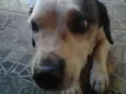 Keka