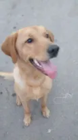 Marley