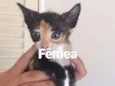 Sem nome
