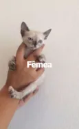 Sem nome