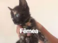 Sem nome
