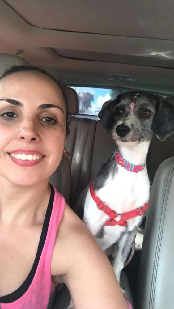 Cachorro ra a MiX de.lhasa  idade 2 anos nome Lana