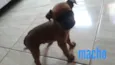 Não tem nome ainda 
