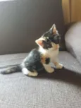 Minnie