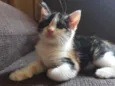 Minnie