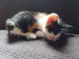 Minnie