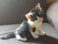 Minnie