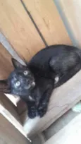 MIMI