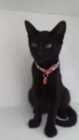 Mimi