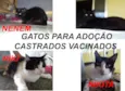 segue na descrição 