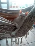 Caio