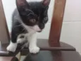 TECO