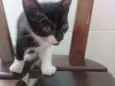 TECO
