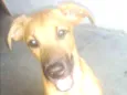 Marley 