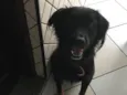 Bolota