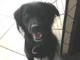 Bolota