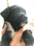 DALILA